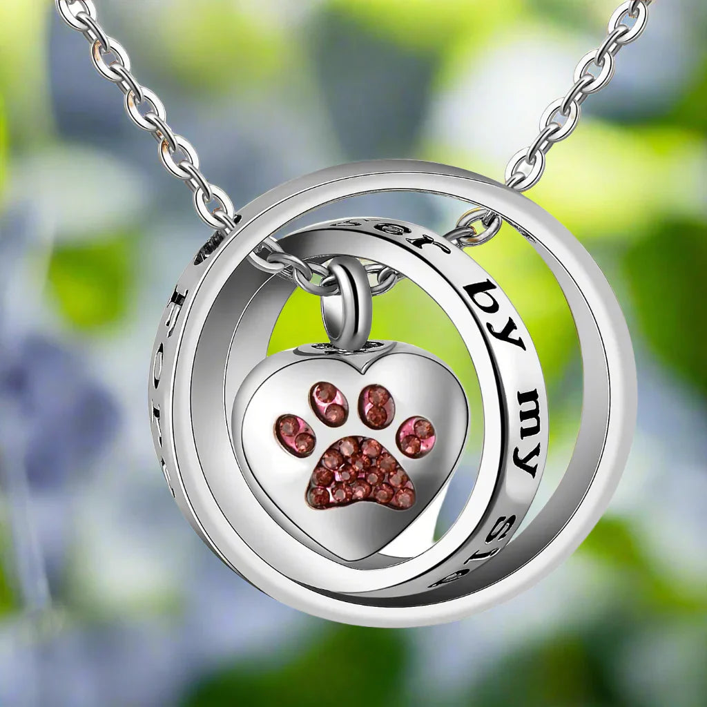 Collier avec urne en acier inoxydable en forme de patte