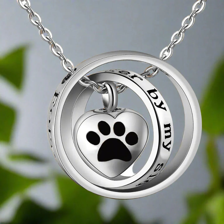 Collier avec urne en acier inoxydable en forme de patte